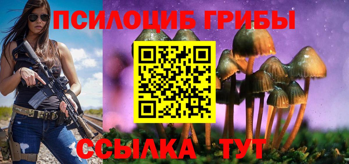 Псилоцибиновые грибы Psilocybe Сокол
