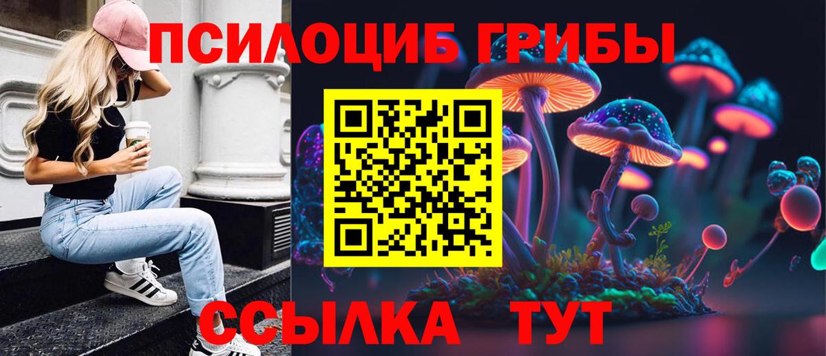 Сокол  Псилоцибиновые грибы Psilocybe  Вход с VPN 