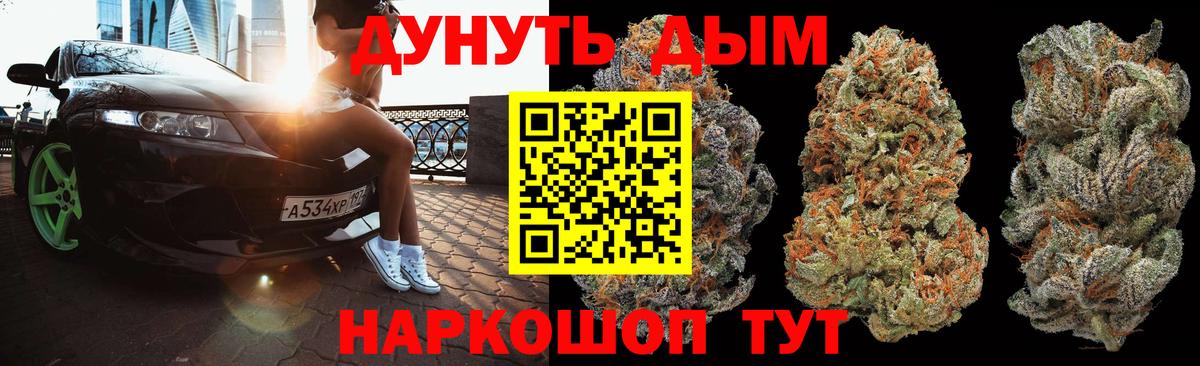 Канабис семена  Вход с VPN  Марихуана планчик  Сокол 