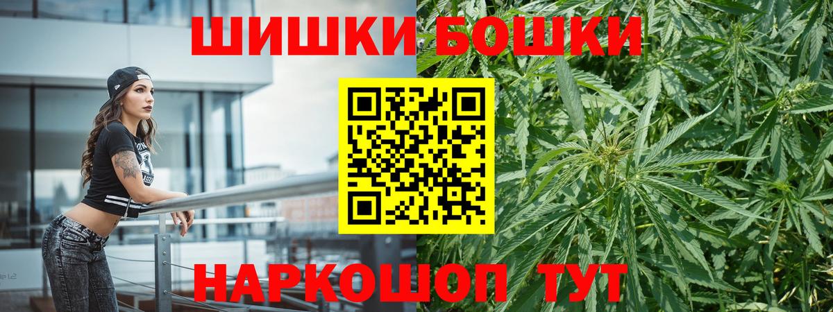 Бошки Шишки гибрид Сокол